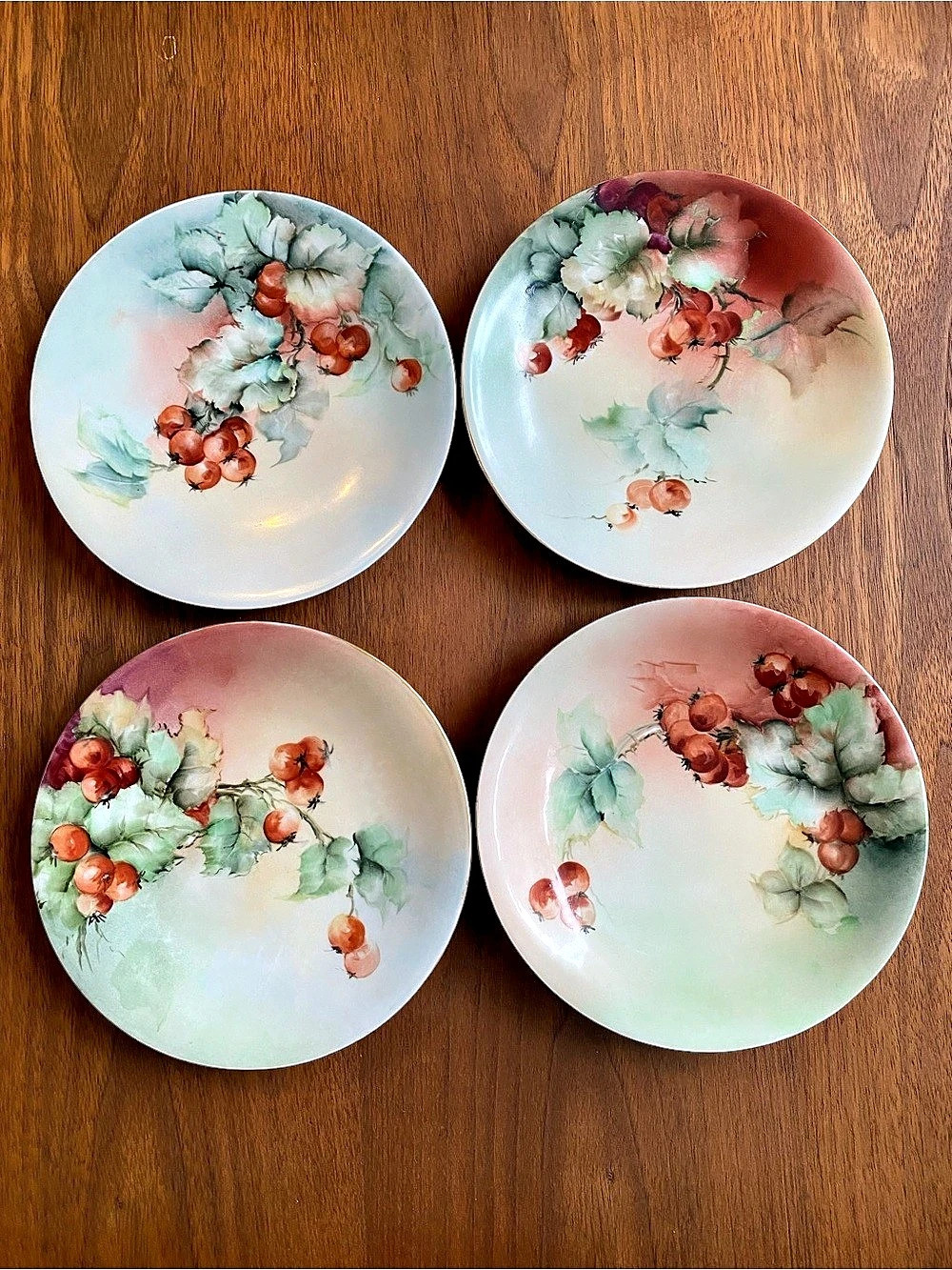 J.P. France Floral Decorative Plates Set of 4 in White & Pink